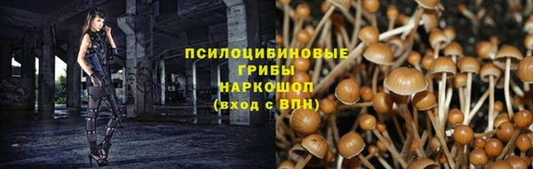 прущий лед Вязьма
