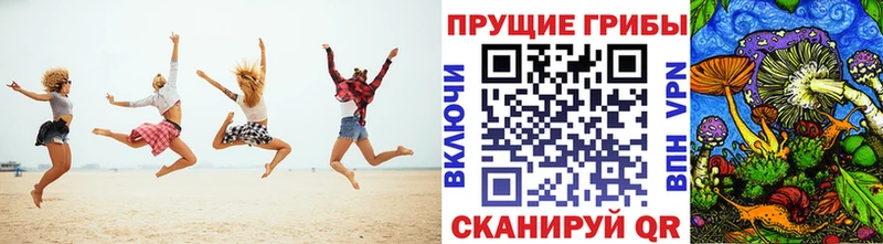 Псилоцибиновые грибы мицелий Ейск